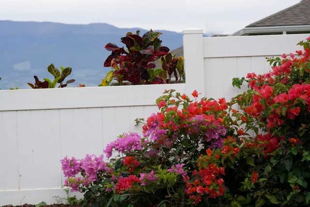 $1,390,000 | 229 Kili'o'opu Street, Wailuku, HI 96793