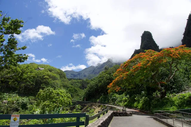 $1,390,000 | 229 Kili'o'opu Street, Wailuku, HI 96793