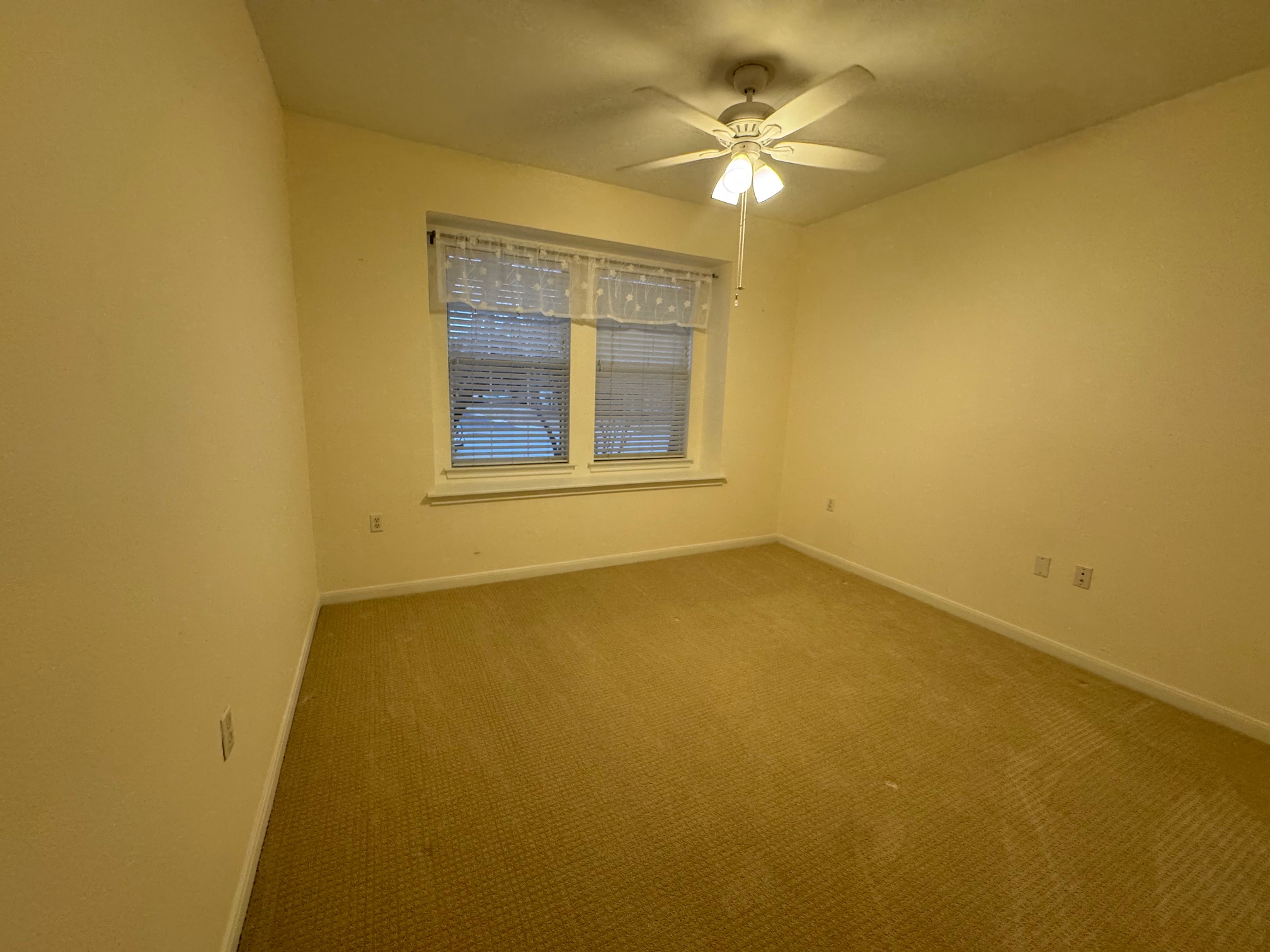 262 Whispering Wind Drive Georgetown, TX 78633 - Photo 15 of 20 Unfurnished room with carpet and a ceiling fan