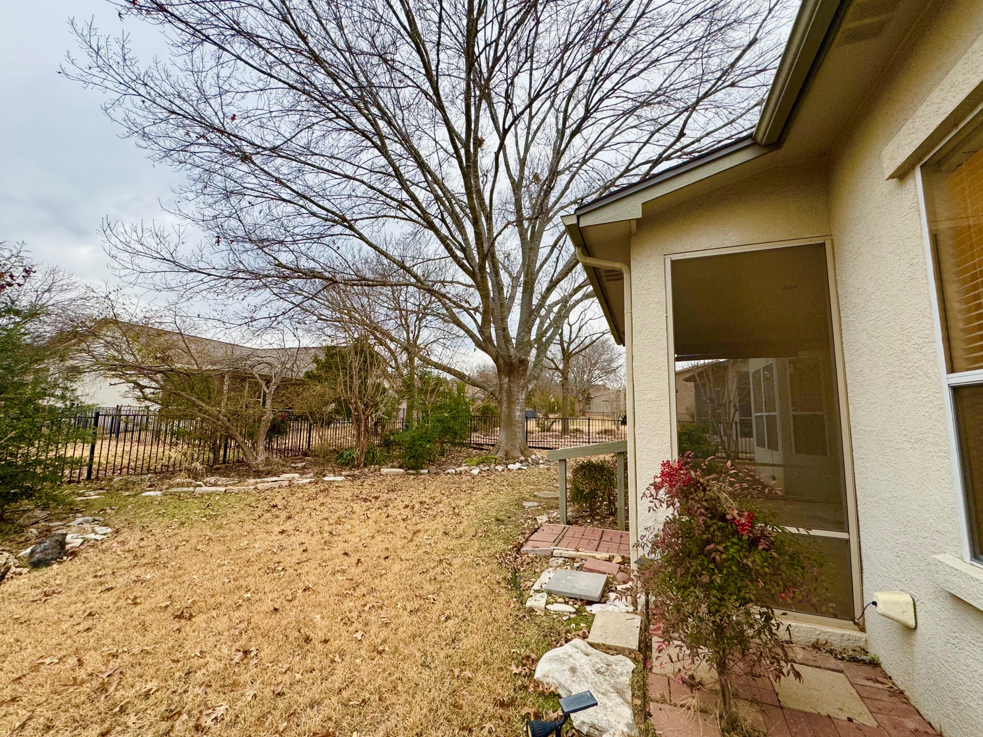 262 Whispering Wind Drive Georgetown, TX 78633 - Photo 17 of 20 View of fenced yard