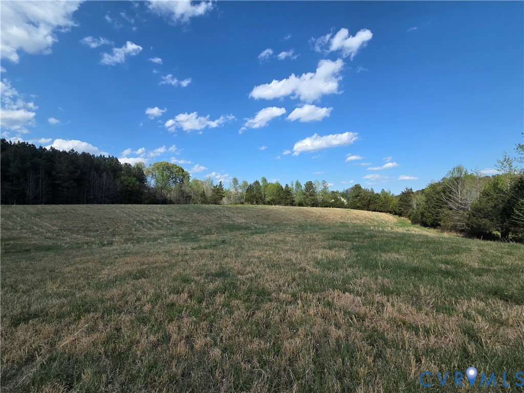 474 Orchid Road Gum Spring, VA 23065 - Photo 3 of 14