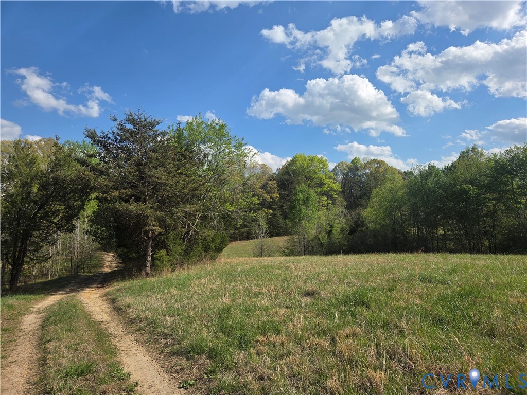 474 Orchid Road Gum Spring, VA 23065 - Photo 5 of 14