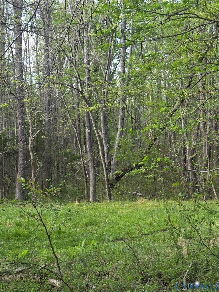 474 Orchid Road Gum Spring, VA 23065 - Photo 6 of 14