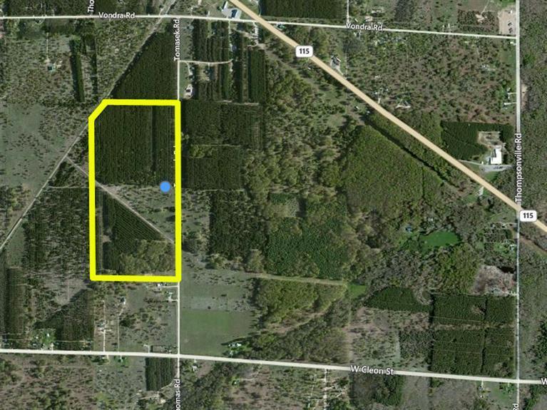 Tomasek Road Thompsonville, MI 49683 - Photo 2 of 6 Additional Photo