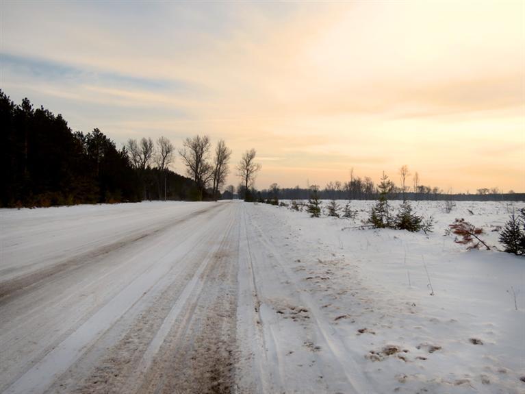 Tomasek Road Thompsonville, MI 49683 - Photo 5 of 6 Additional Photo