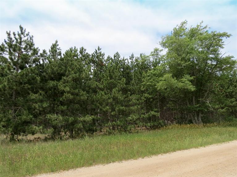 Tomasek Road Thompsonville, MI 49683 - Photo 6 of 6 Additional Photo