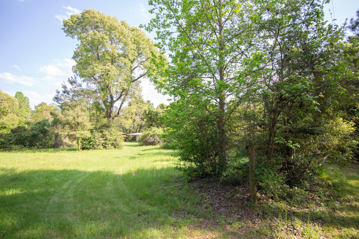 Tbd Calvary Road Willis, TX 77318 - Photo 17 of 22 Gallery Image 17