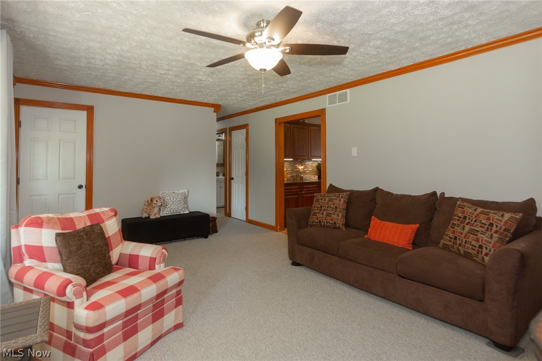 5417 Mennonite Road Mantua, OH 44255 - Photo 23 of 29 Gallery Image 23