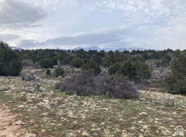 825 East 800th Street South Fillmore, UT 84631 - Photo 14 of 18