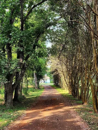 $474,900 | 1134 Farm To Market 354 San Augustine Tx 75972, San Augustine, TX 75972