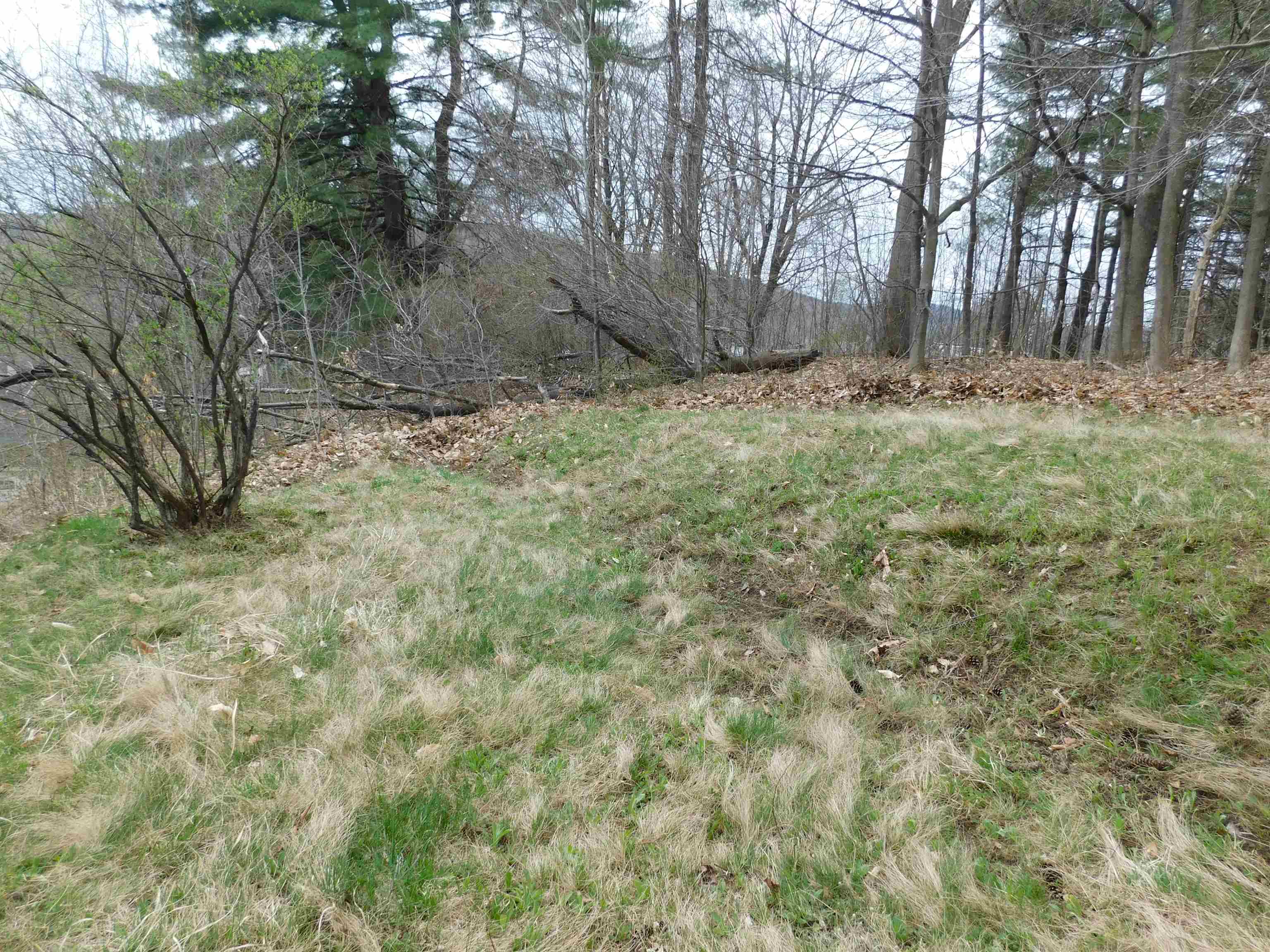 12 Curtis Street Springfield, VT 05156 - Photo 5 of 20