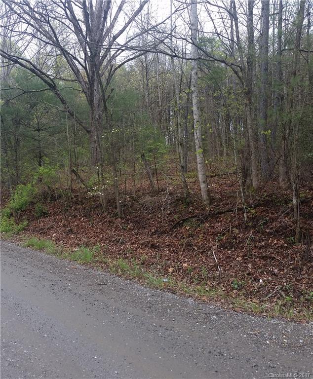9999 Sandy River Road Leicester, NC 28748 - Photo 3 of 8 Gallery Image 3