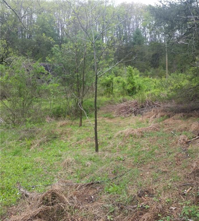 9999 Sandy River Road Leicester, NC 28748 - Photo 5 of 8 Gallery Image 5