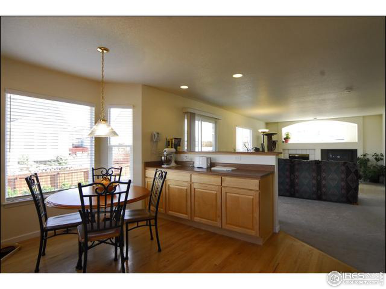 746 Rider Ridge Drive Longmont, CO 80504 - Photo 8 of 12 Family Room
