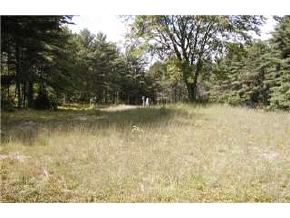 248 Molly Philbrick Road Effingham, NH 03882 - Photo 3 of 5