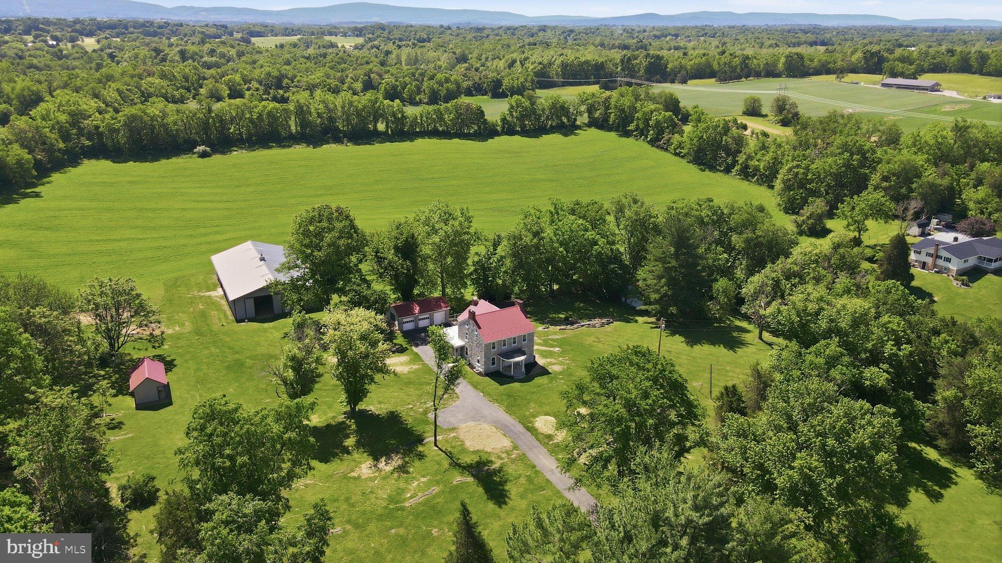 8805 Reichard Road Fairplay, MD 21733 - Photo 75 of 77 Serene countryside retreat with lush greenery.
