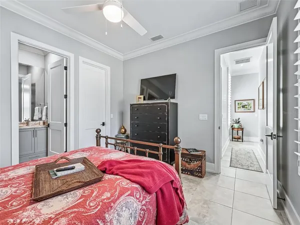 a view of a park with large trees