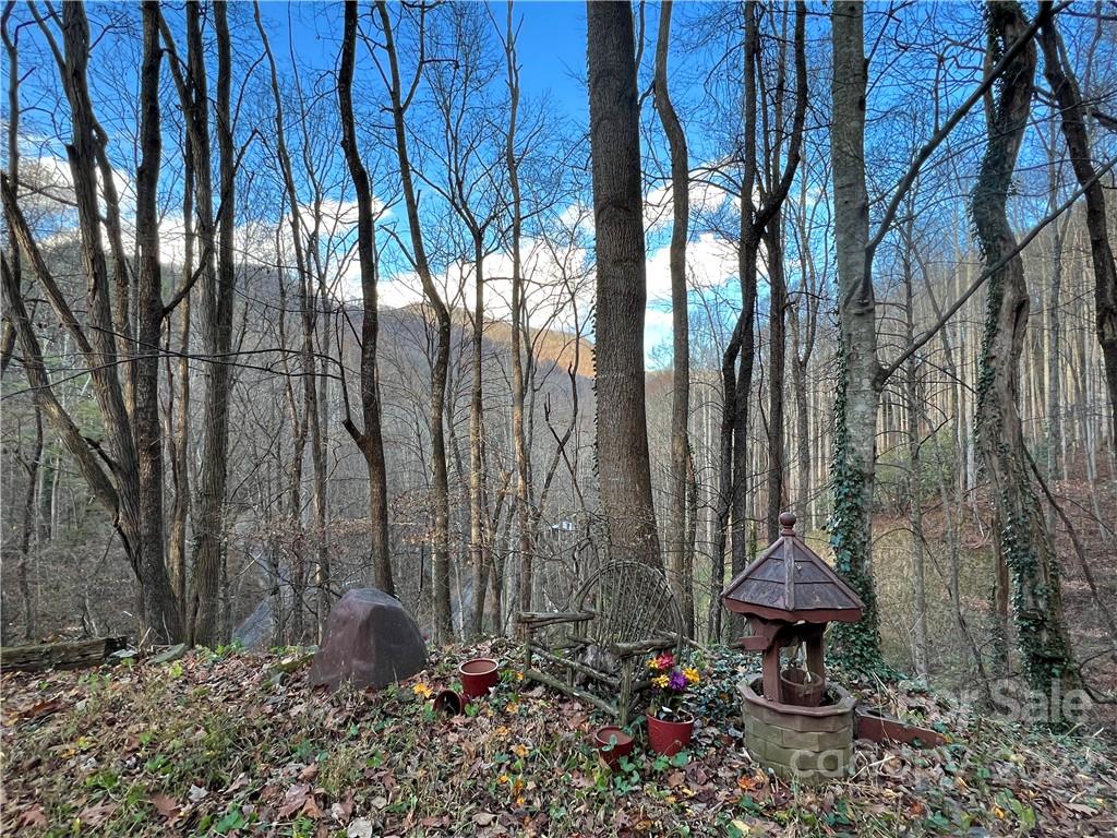 343 Tumbling Fork Road Waynesville, NC 28785 - Photo 2 of 30 Gallery Image 2