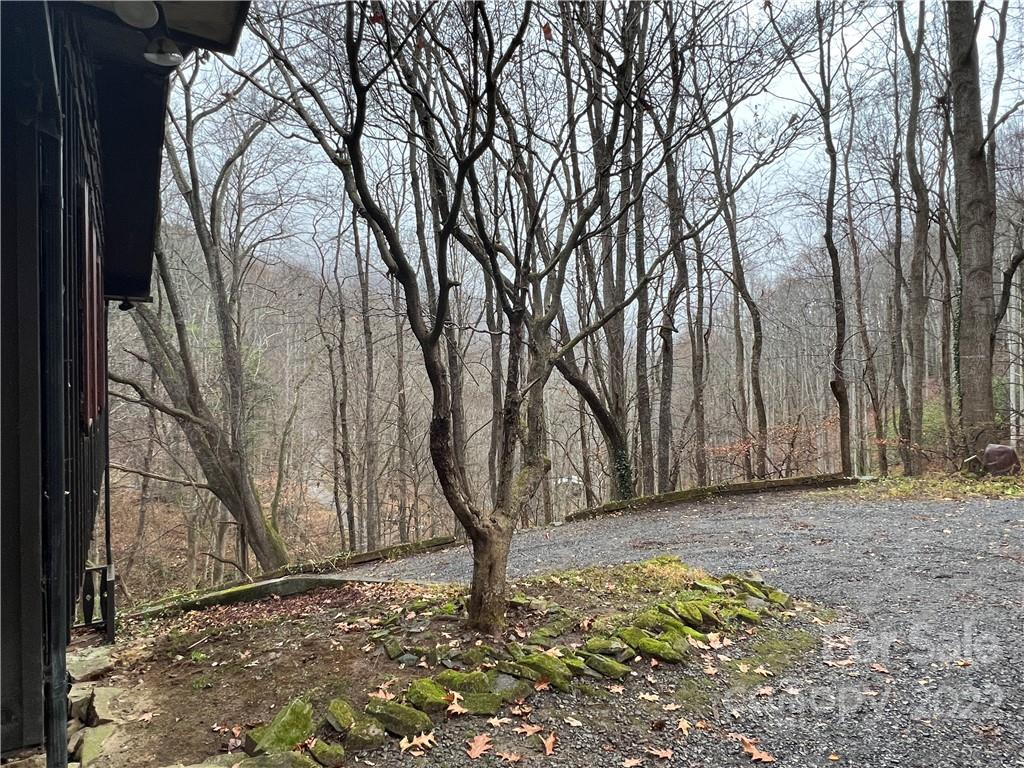 343 Tumbling Fork Road Waynesville, NC 28785 - Photo 21 of 30 Gallery Image 21