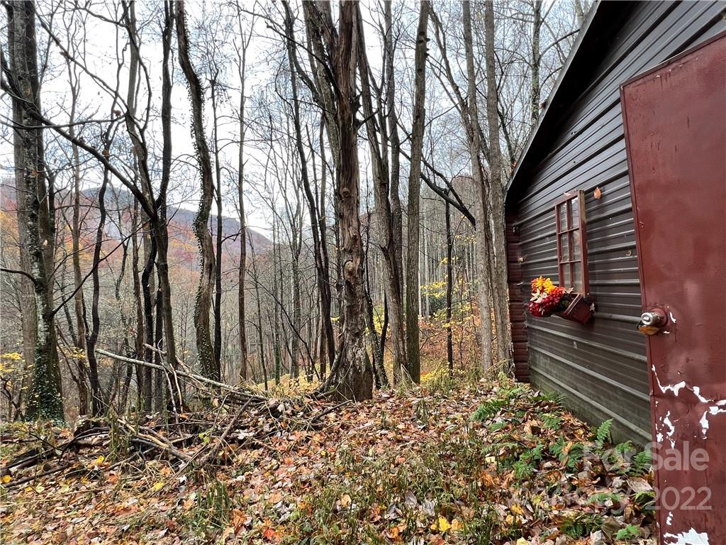 343 Tumbling Fork Road Waynesville, NC 28785 - Photo 24 of 30 Gallery Image 24