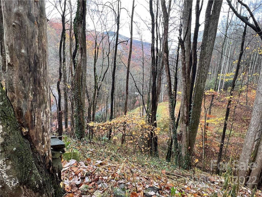 343 Tumbling Fork Road Waynesville, NC 28785 - Photo 27 of 30 Gallery Image 27