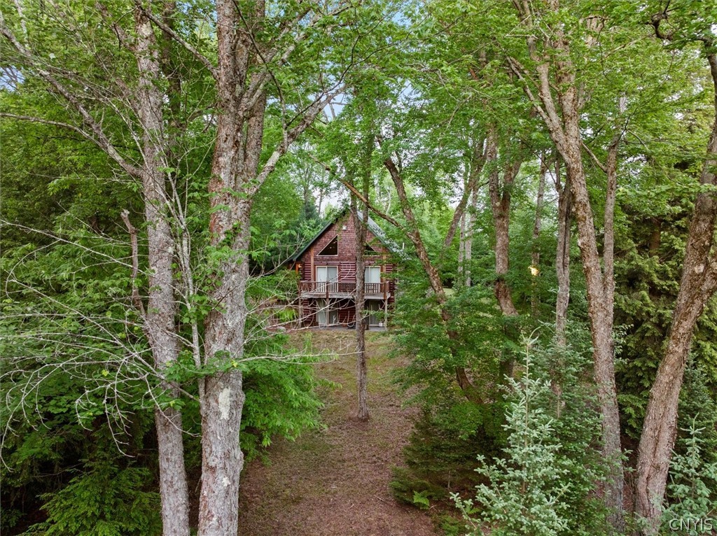 171 Ash Creek Road Ohio, NY 13324 - Photo 12 of 49