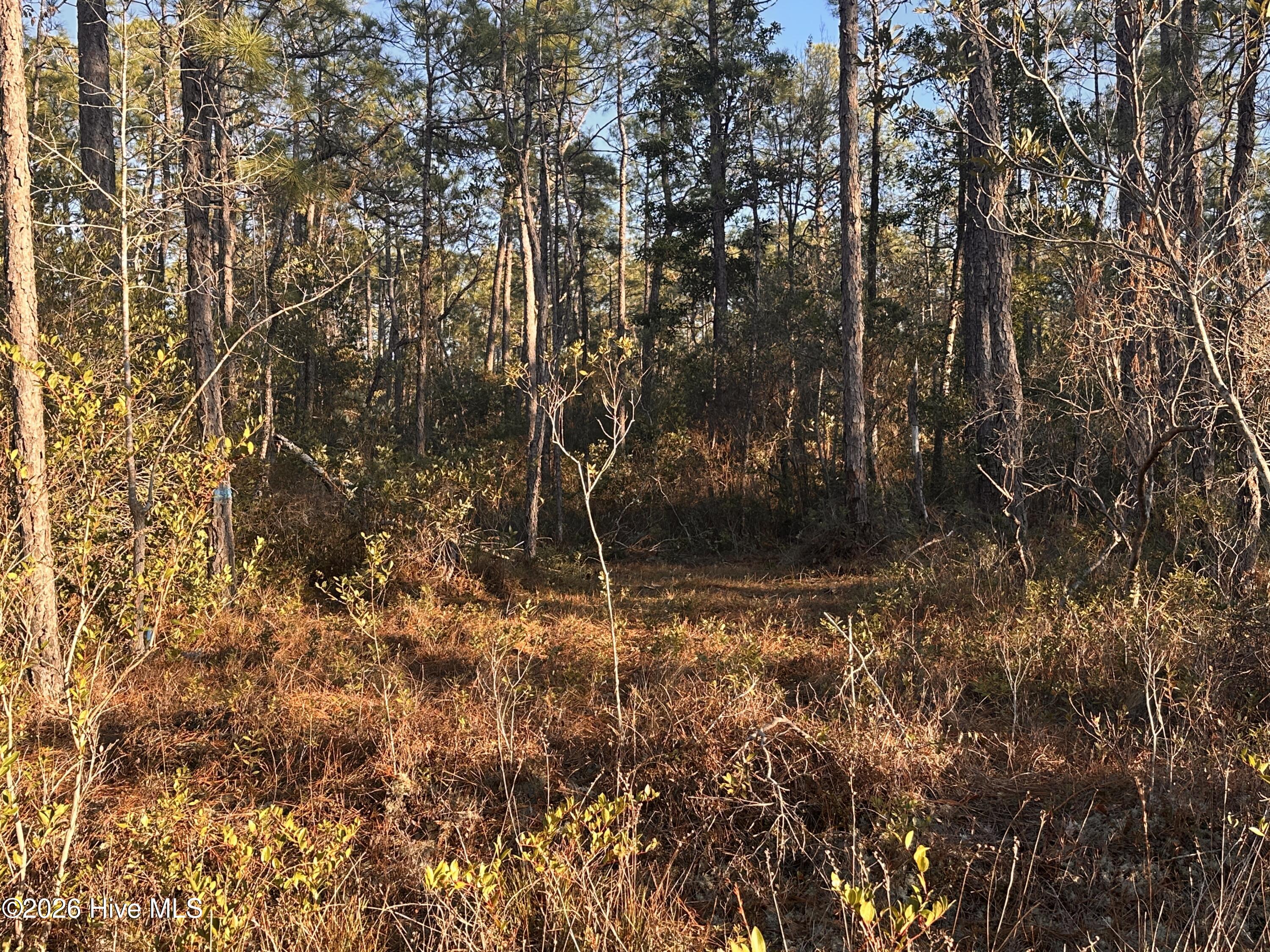 568 Grape Road Southport, NC 28461 - Photo 3 of 3 IMG_1786