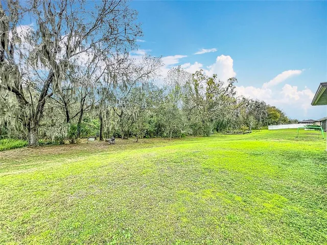 a view of a field with an trees