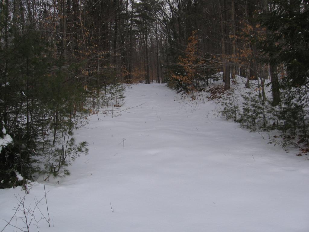 0 Tioga Road Hill, NH 03243 - Photo 1 of 3