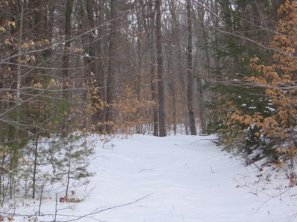 0 Tioga Road Hill, NH 03243 - Photo 2 of 3