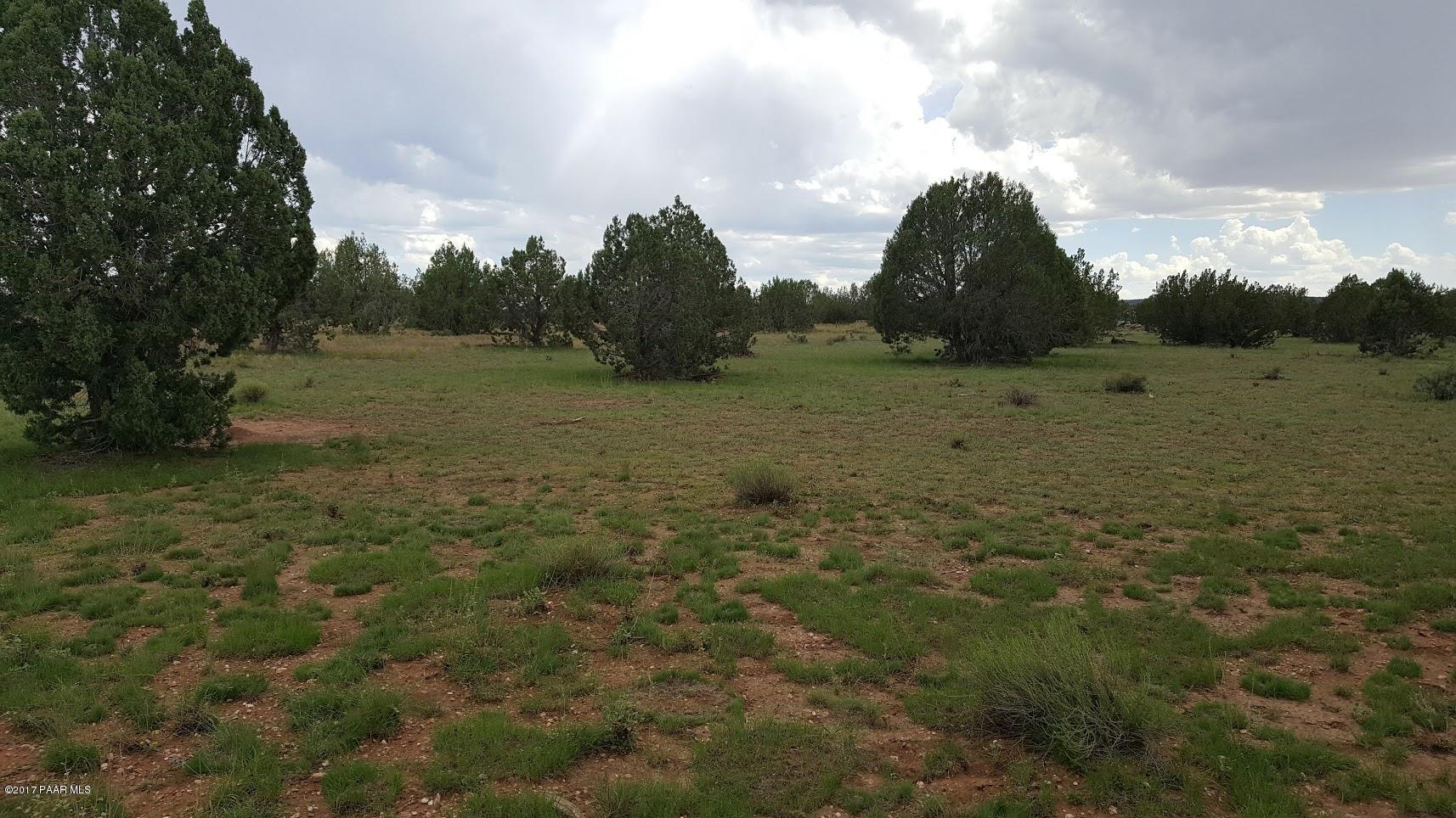 Scrimbolo Lot 313 Property (2)