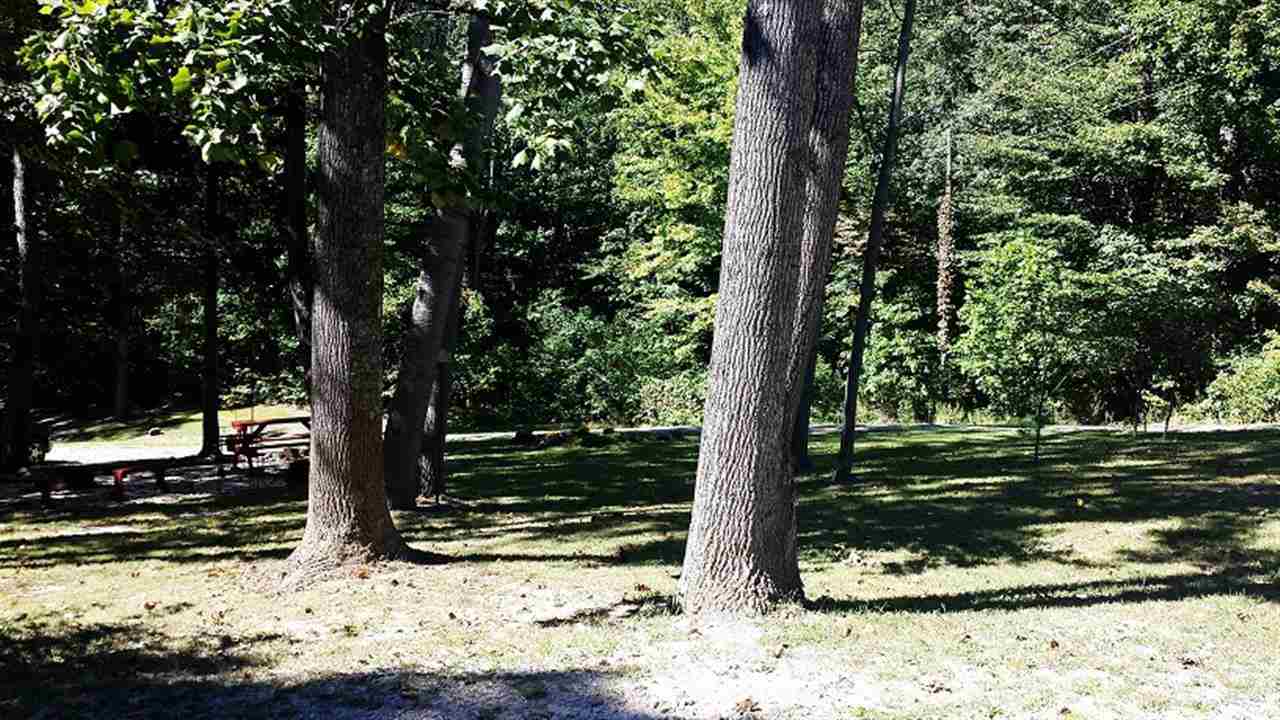 5737 Lennox Road Poland, IN 47868 - Photo 21 of 25 Gallery Image 21