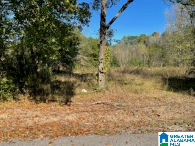 30 Bannerman Road Southwest, Unit LOTS 7 & Bessemer, AL 35022 - Photo 6 of 6