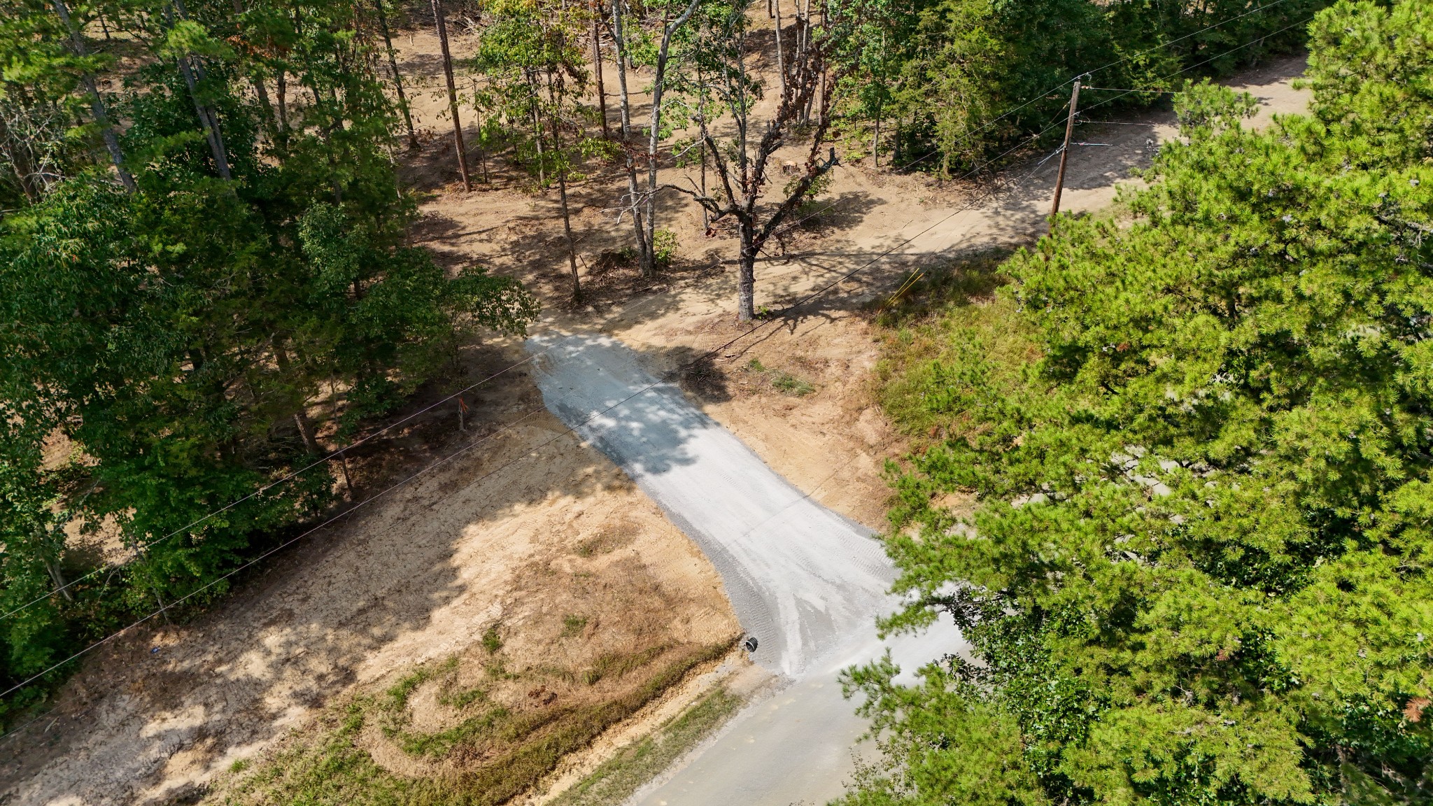 a view of a yard with trees