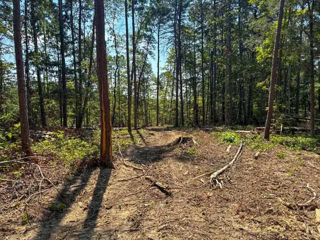 a view of outdoor space with trees
