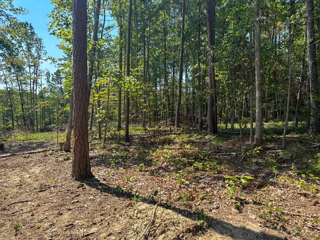 a view of outdoor space with trees