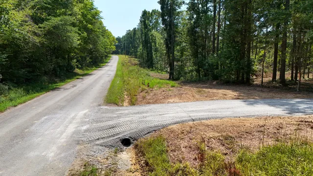 a view of a yard with large trees