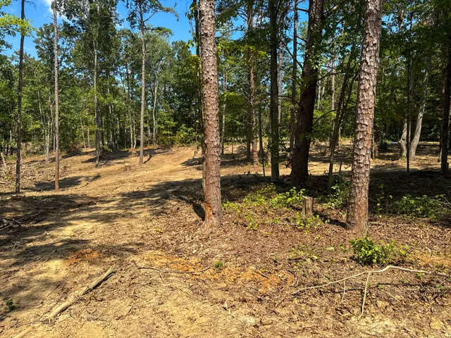 a view of a backyard of the house