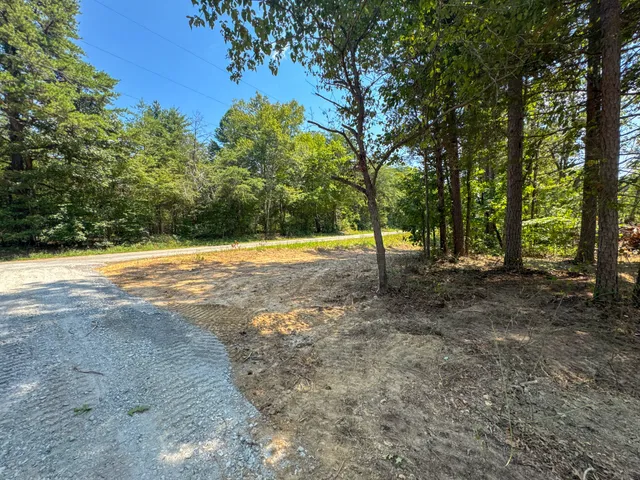 a view of outdoor space with trees