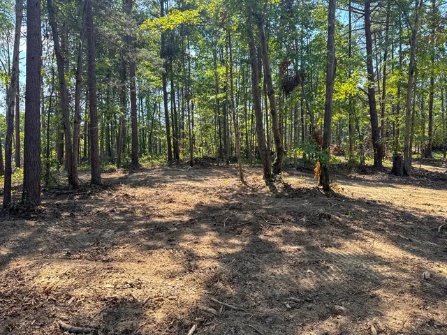 a view of outdoor space with tree s