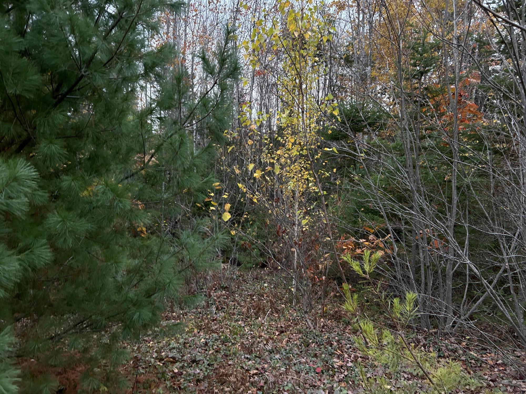 401 Genthner Road Waldoboro, ME 04572 - Photo 5 of 35