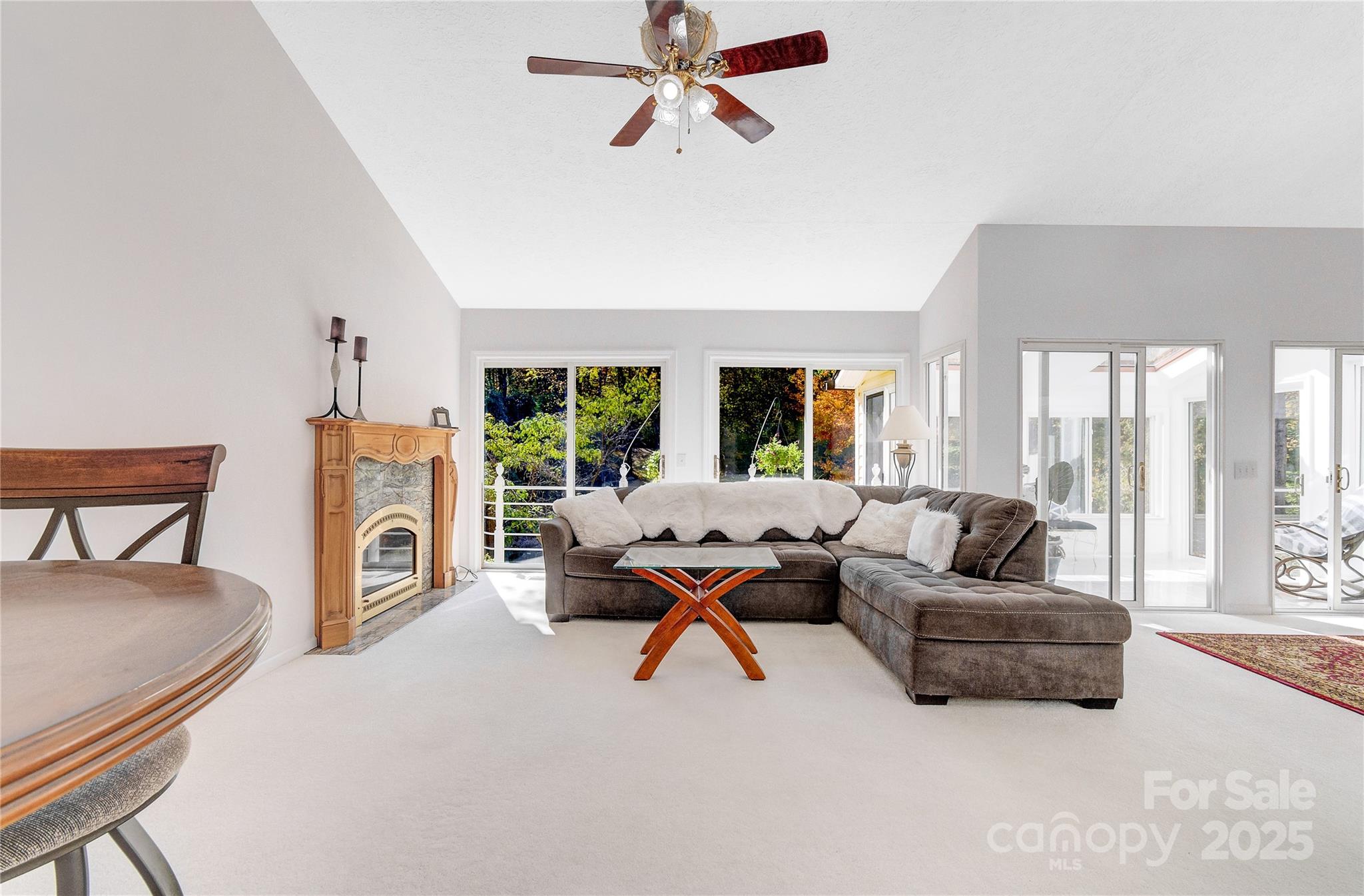 130 Grapevine Lane Tryon, NC 28782 - Photo 3 of 47