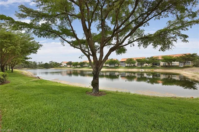 a view of a lake with a yard and large trees