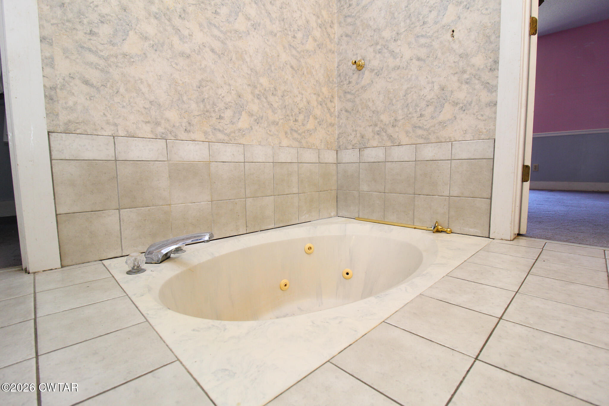 2425 Antioch Road Middleton, TN 38052 - Photo 22 of 59 Jacuzzi Tub