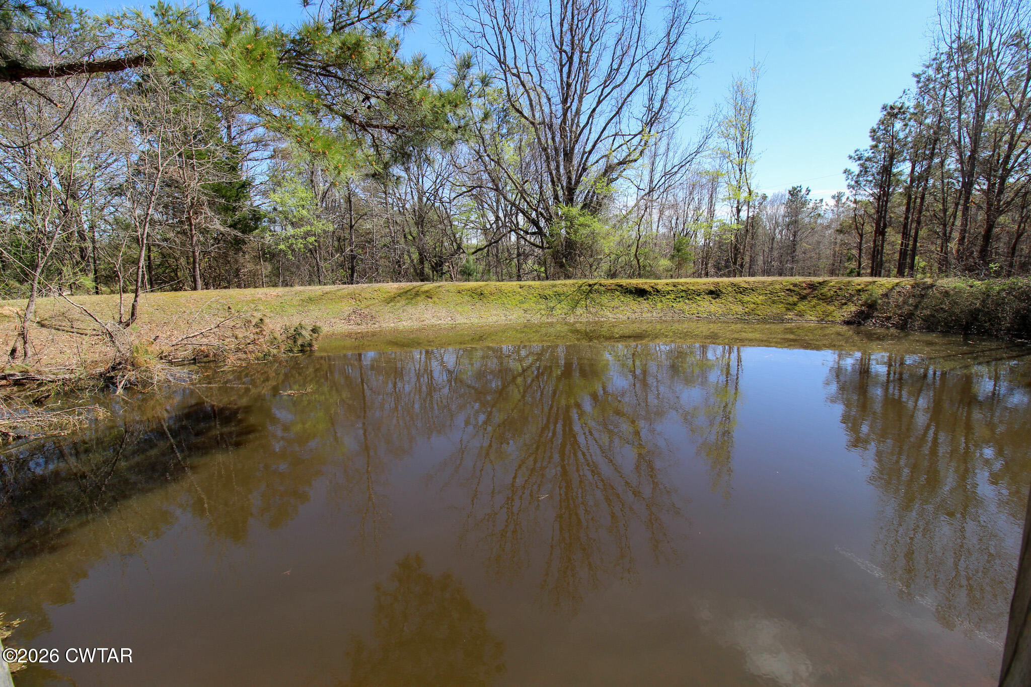 2425 Antioch Road Middleton, TN 38052 - Photo 44 of 59 Pond
