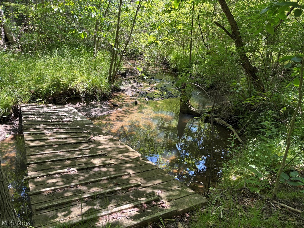 18821 Munn Road Chagrin Falls, OH 44023 - Photo 47 of 50 Stream