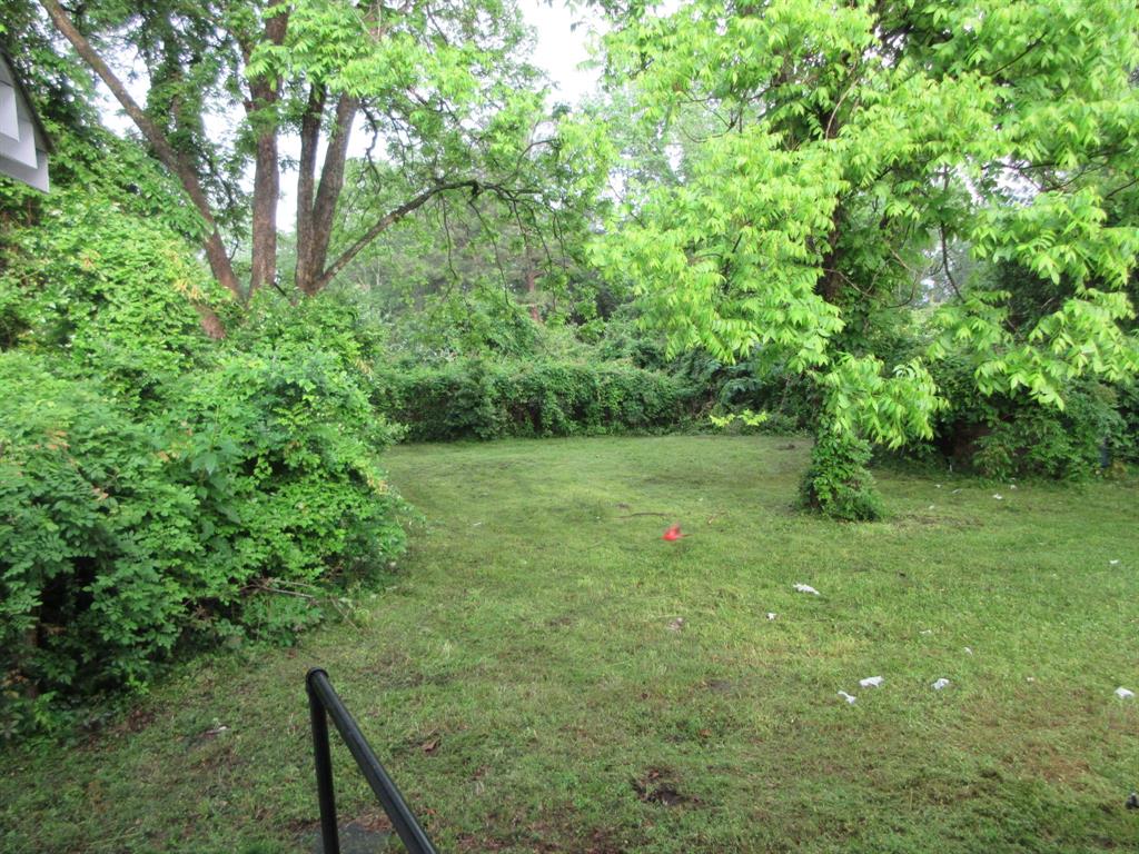 328 South Talton Street Minden, LA 71055 - Photo 19 of 21 a view of a green field with lots of bushes