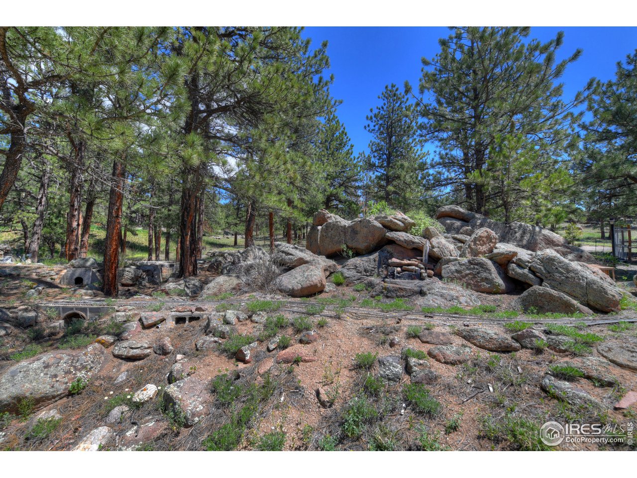 40 Hopi Court Lyons, CO 80540 - Photo 37 of 40 a view of a forest with a tree