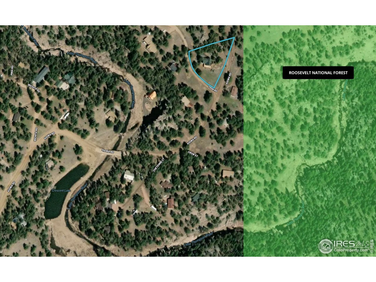 40 Hopi Court Lyons, CO 80540 - Photo 40 of 40 a view of a plant in a garden