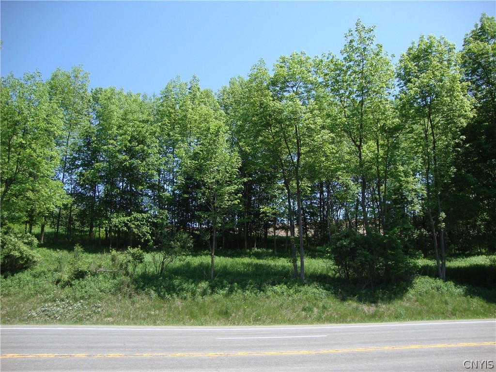 0 Us Rt 20 Ns Bridgewater, NY 13313 - Photo 1 of 1 Gallery Image 1